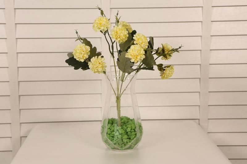 Somon Ponpon Küçük Kafalı Kasımpatı